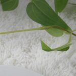 원두 OEM 블렌드 개발, 매장 전용 커피가 완성되는 6단계