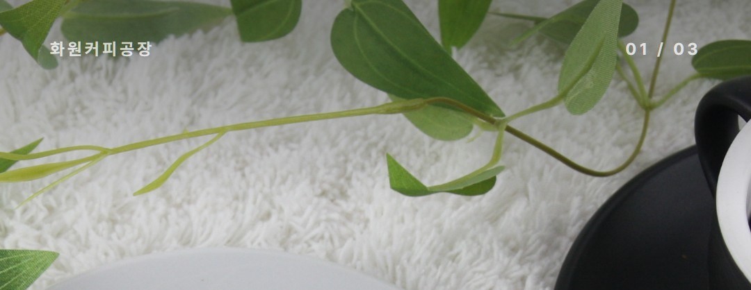 원두 OEM 블렌드 개발, 매장 전용 커피가 완성되는 6단계